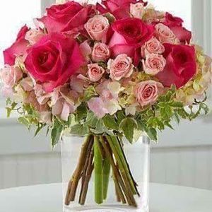 Meet your Posher, Frances